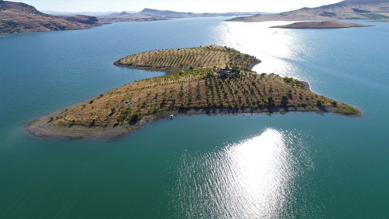 Robinson Ziya Dede belgesel oldu! Keban Baraj gölünün ortasında yaşıyor - Resim: 3