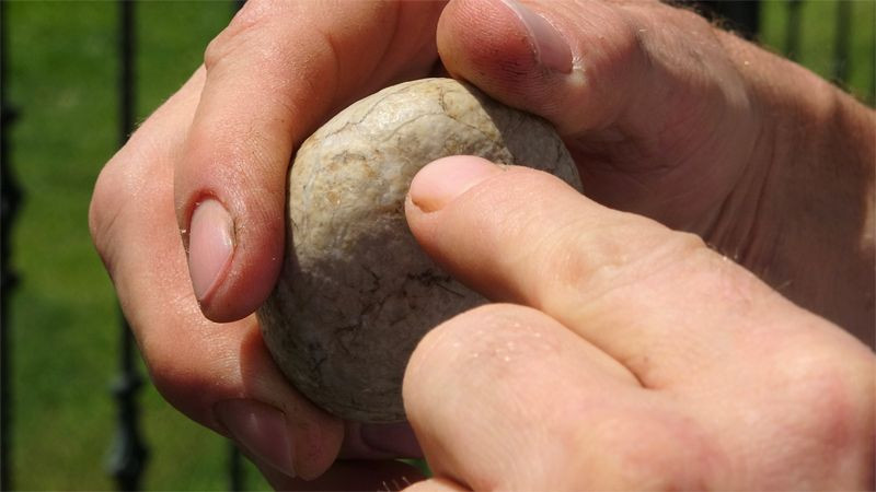 Ordu'da bulunan gizemli taş! 200 bin dolar verildi bankaya koydu - Resim: 3