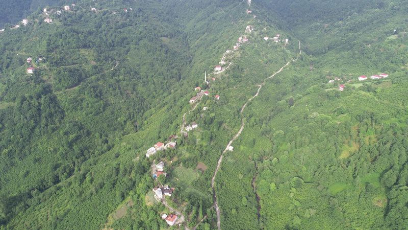 Giresun'daki bu evleri görenler şaşkın! Antalya'dan bile gezmeye gelen var - Resim: 4