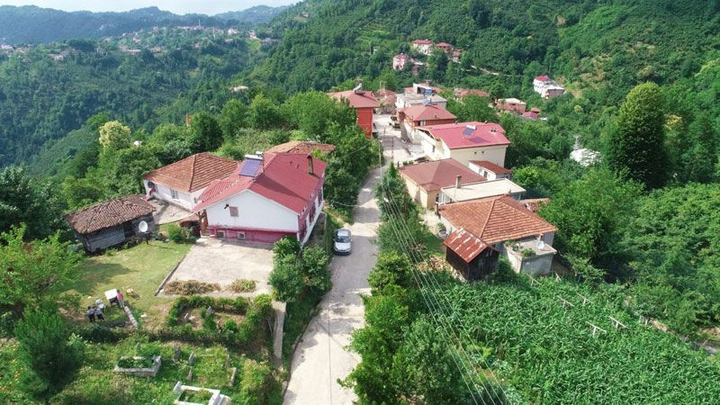 Ordu'da sıra dışı mahallle Jandarma 1 kişi çağırıyor 10 kişi karakola gidiyor - Resim: 1