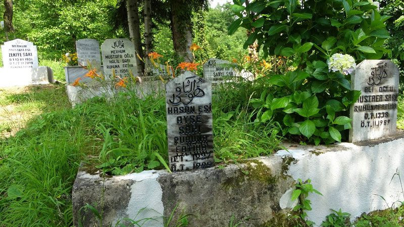 Ordu'da sıra dışı mahallle Jandarma 1 kişi çağırıyor 10 kişi karakola gidiyor - Resim: 2