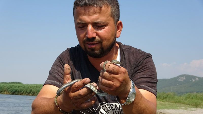 Uluabat Gölü'nde görüldü halk 'depremin habercisi' olarak yorumladı - Resim: 4