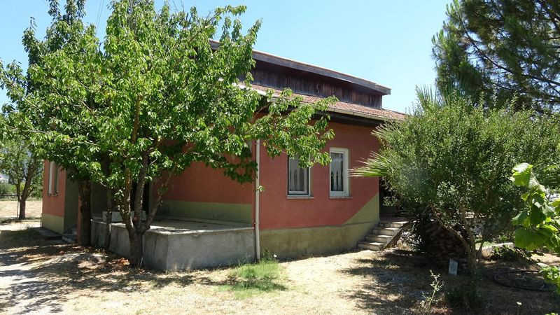 Pınar Gültekin'in canice öldürüldüğü bağ evi görüntülendi! Bakmaya yürek dayanmaz - Resim: 1