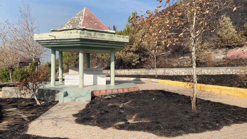 Hatay'daki orman yangınında dikkat çeken detay! Görenler şaşkına döndü - Resim: 2