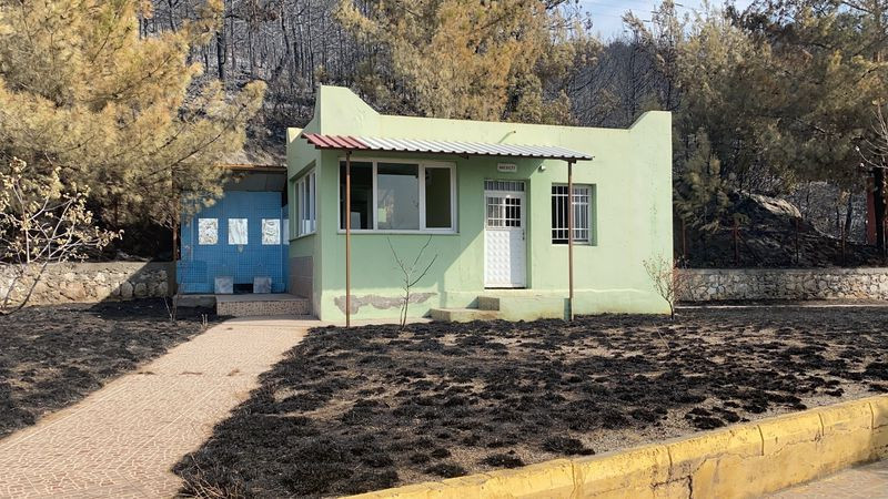 Hatay'daki orman yangınında dikkat çeken detay! Görenler şaşkına döndü - Resim: 3