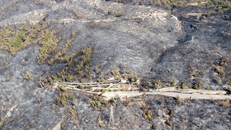 Hatay'daki orman yangınında dikkat çeken detay! Görenler şaşkına döndü - Resim: 1