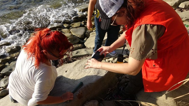 Çanakkale'de sahilde balıkçılar buldu 9 milyon yaşında! Görenler hayret etti - Resim: 2