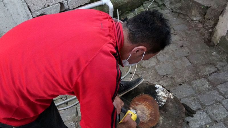 Sürmene'de kestiği ağacın gövdesindeki figür şaşırttı İlk gördüğümde bir korku hissettim - Resim: 1