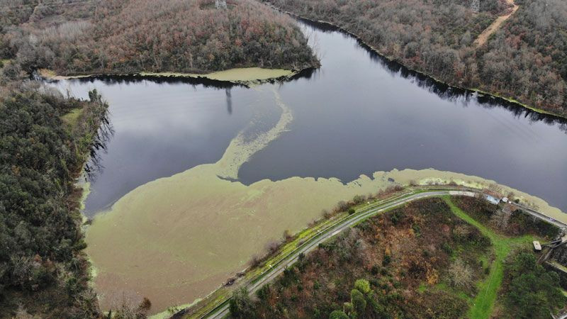 İstanbul Elmalı Barajı'nda korkutan görüntü yeşil renge büründü - Resim: 1