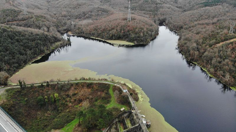 İstanbul Elmalı Barajı'nda korkutan görüntü yeşil renge büründü - Resim: 2