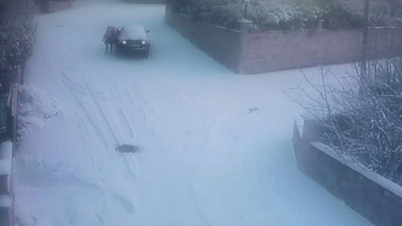 Arnavutköy'de kayan otomobilini akıl almaz yöntemle durdurmak istedi korku dolu anlar - Resim: 2