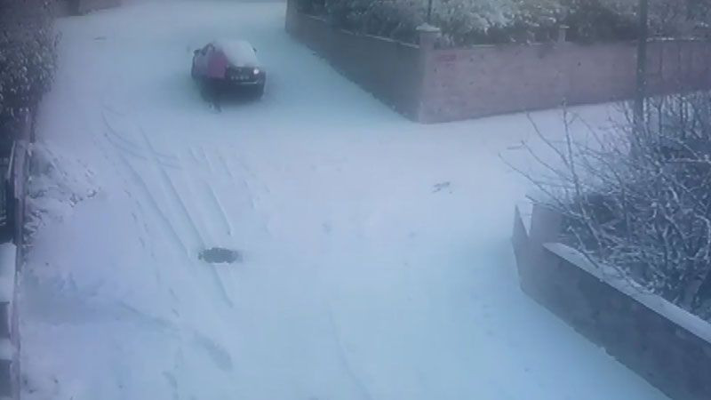 Arnavutköy'de kayan otomobilini akıl almaz yöntemle durdurmak istedi korku dolu anlar - Resim: 3