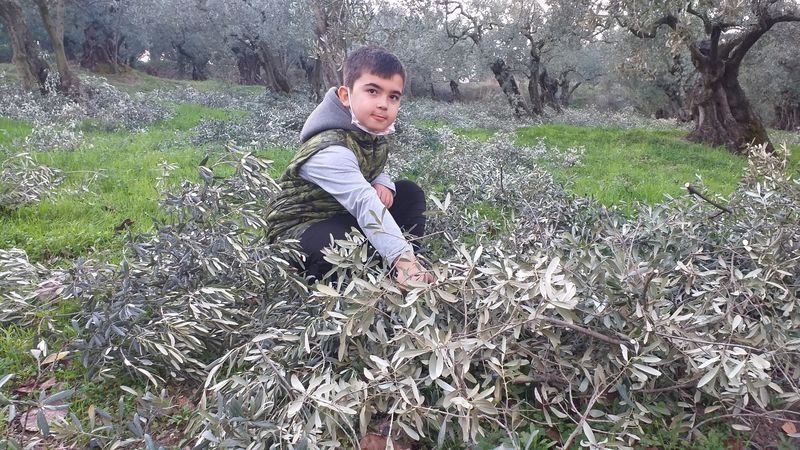 Fiyatı aktarda dudak uçuklatıyor! Bursa'da bedavaya dağıtıyor - Resim: 1