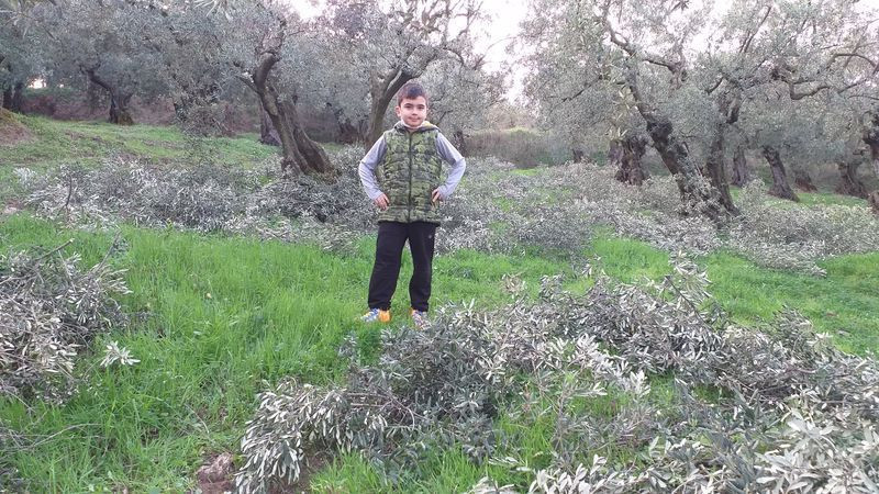 Fiyatı aktarda dudak uçuklatıyor! Bursa'da bedavaya dağıtıyor - Resim: 4