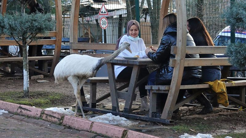 Kocaeli'de özel bir okulda hırsızlık oldu yönetim kameraları izleyince herkes şaşkına döndü - Resim: 1