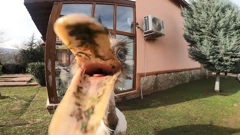 Kocaeli'de özel bir okulda hırsızlık oldu yönetim kameraları izleyince herkes şaşkına döndü - Resim: 2