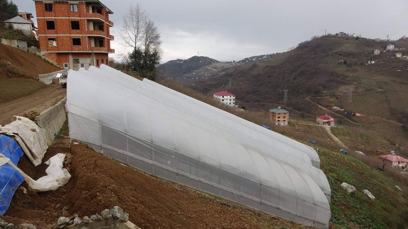 'Burada olmaz' denilen yerde başardı Karadeniz inadı ona para kazandırdı - Resim: 1