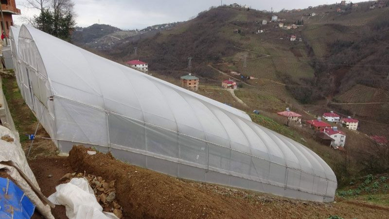 'Burada olmaz' denilen yerde başardı Karadeniz inadı ona para kazandırdı - Resim: 2