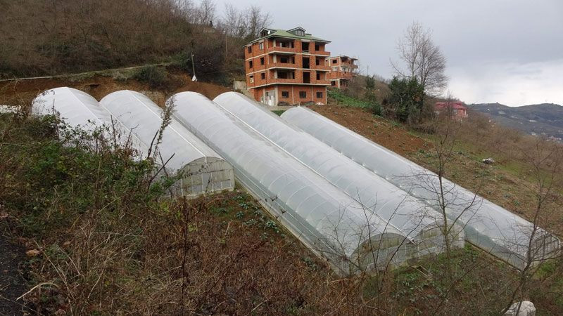 'Burada olmaz' denilen yerde başardı Karadeniz inadı ona para kazandırdı - Resim: 3