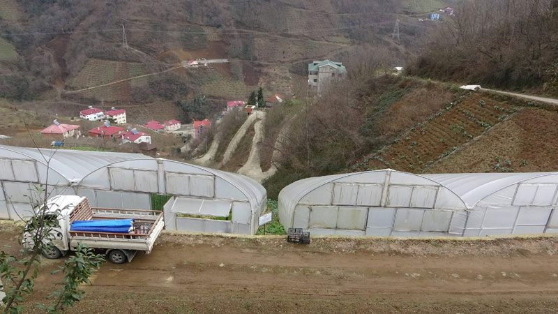 'Burada olmaz' denilen yerde başardı Karadeniz inadı ona para kazandırdı - Resim: 4