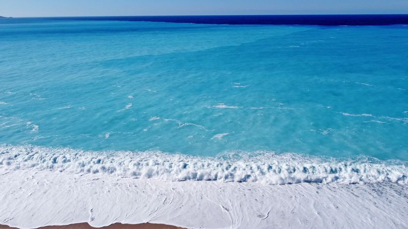 Muğla'da bu halde gören telefona sarıldı! İnsanlar hayret etti - Resim: 4