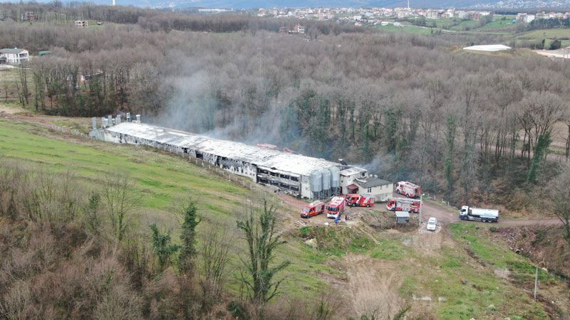 Kartepe'de tavuk çiftçiliğinde yangın! İtfaiye eri ağzıyla hava verdi hayata döndürmeye çalıştı - Resim: 4