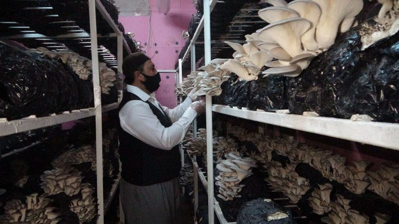 Adana'da dükkanı kapatıp başladığı işte paraya para demiyor! Evin bodrumunda üretiyor - Resim: 1