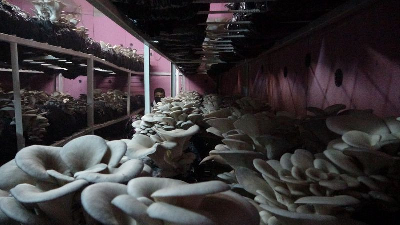 Adana'da dükkanı kapatıp başladığı işte paraya para demiyor! Evin bodrumunda üretiyor - Resim: 3