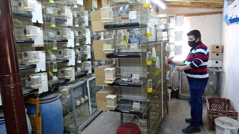 Tokat'ta emekli olup hayalini gerçekleştirdi! 2 taneyle başladı 200'e çıktı - Resim: 4