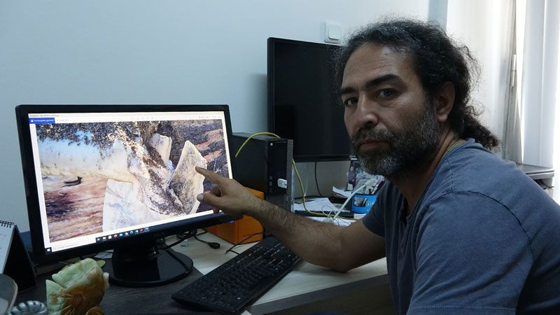 Mersin'de sahile vuran dev balinanın ölüm nedeni belli oldu otopsi sonuçları açıklandı - Resim: 1