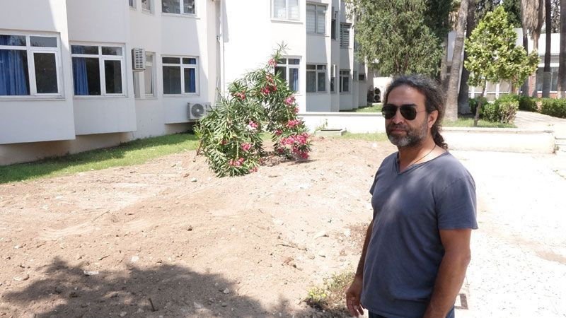 Mersin'de sahile vuran dev balinanın ölüm nedeni belli oldu otopsi sonuçları açıklandı - Resim: 4