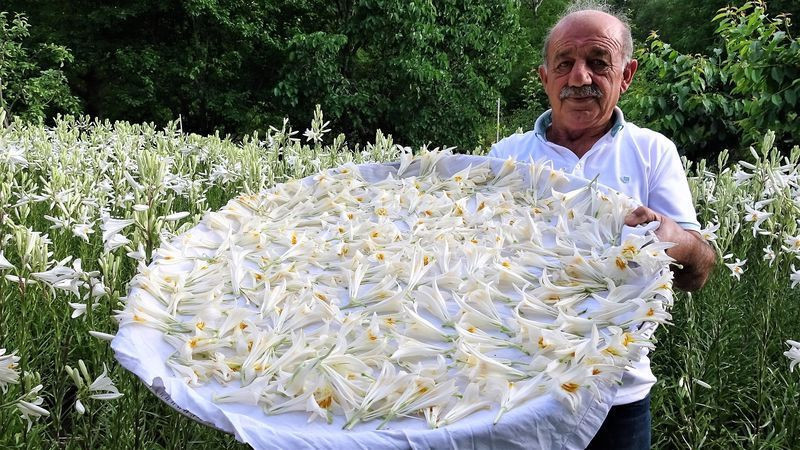 Hobi olarak başladı emekli maaşını 5'e katladı! Tokat'ta üretti fiyatını duyan inanamadı - Resim: 1