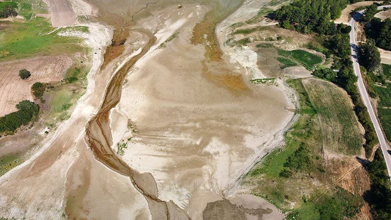 Adana, Mersin, Hatay ile Osmaniye'de korkutan görüntü! Sıcaklık ve az yağış bitirdi - Resim: 1