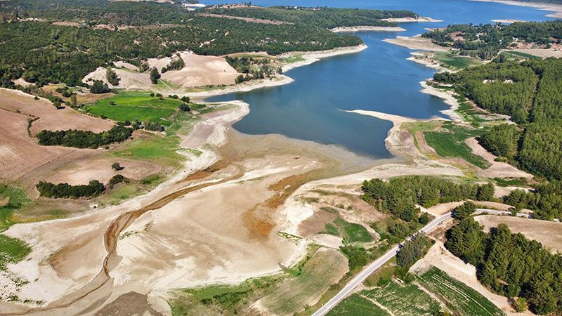 Adana, Mersin, Hatay ile Osmaniye'de korkutan görüntü! Sıcaklık ve az yağış bitirdi - Resim: 2