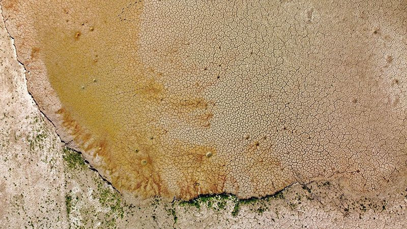 Adana, Mersin, Hatay ile Osmaniye'de korkutan görüntü! Sıcaklık ve az yağış bitirdi - Resim: 3