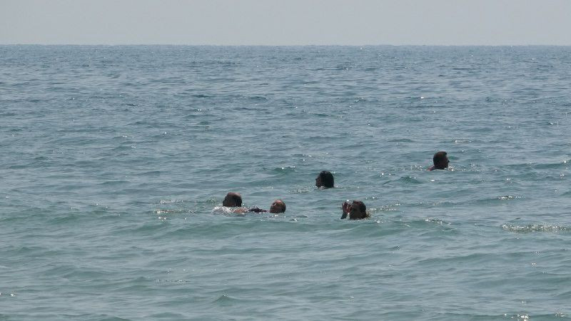 Kurbanlık keçi ellerinden kurtulup denize atladı, kaçmak isterken ölümden döndü! - Resim: 4