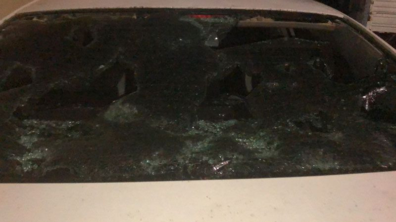 Sivas'ta yumurta büyüklüğünde dolu yağdı sokak hayvanları telef oldu! Dolu kurşun gibi delik deşik etti - Resim: 4