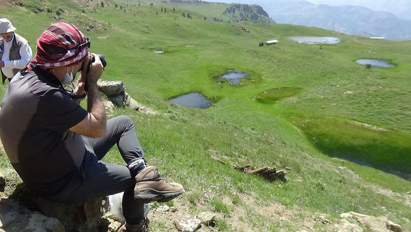 Gümüşhane'de yaylada bulundu Anadolu'da çok kısıtlı yerde var - Resim: 2
