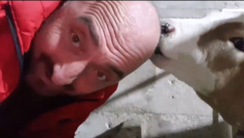 Trabzon'da başını buzağıya yalatan adamın iddiası: Saçlarım çıkıyor - Resim: 1