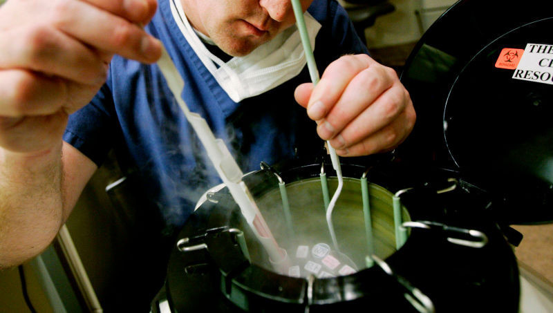 Doktora bak sen! Tüp bebeğin babası tüp bebek doktoru çıktı! - Resim: 4