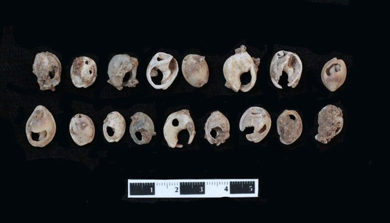 Hatay'da denizin altında  bulundu 75 bin yıllık çıktı tarih yeniden şekillendi - Resim: 10