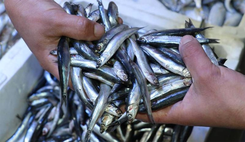 Aralık ayında hangi balık yenilir en lezzetli balık tarifleri - Resim: 2