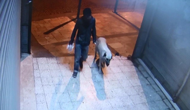 Sokak köpeğini boğarak öldürdükten sonra tecavüz etti - Resim: 1