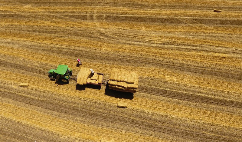 Kavurucu sıcaklara rağmen... İşçilerin zorlu mücadelesi - Resim: 4
