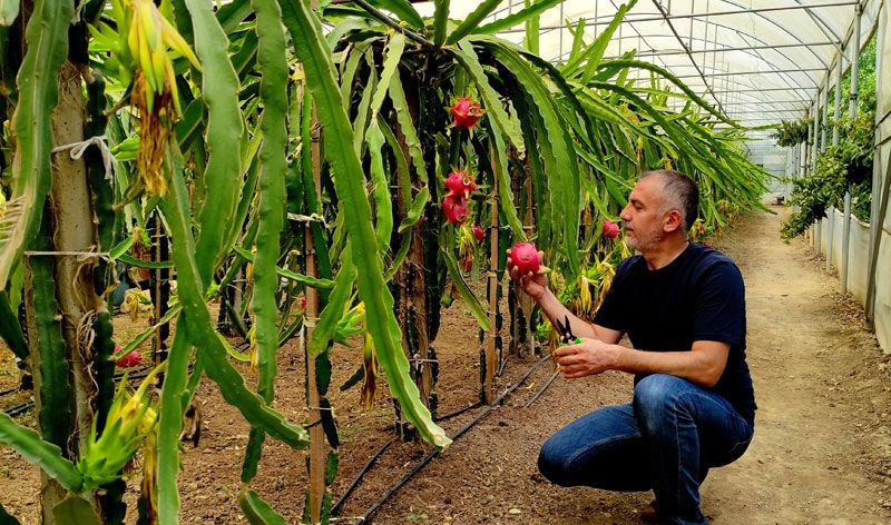 Paranı çöpe atma dediler dinlemedi ekti masrafı yok şimdi para basıyor - Resim: 2
