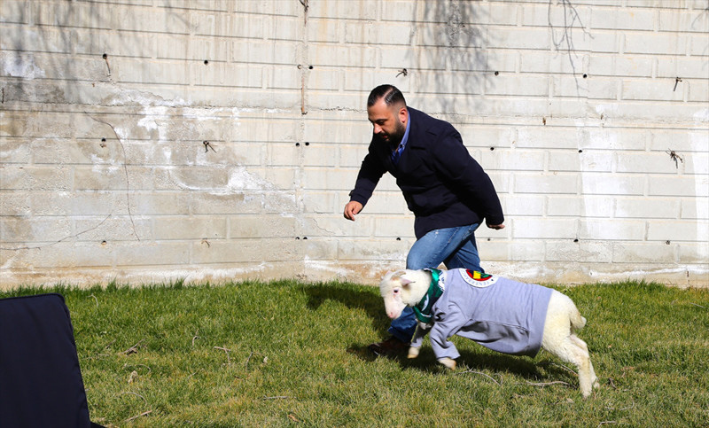 'Kuzu Alex' sosyal medyanın yeni fenomeni - Resim: 3