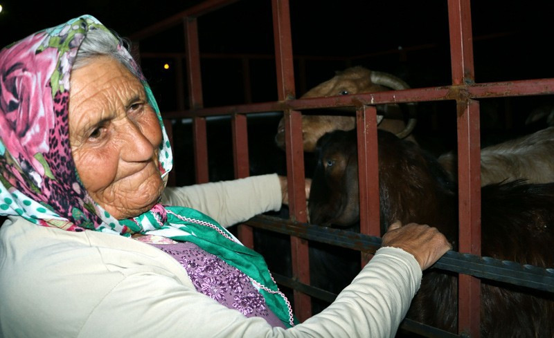 Keçileri çalınınca üzüntüden bulununca sevinçten ağladı - Resim: 3