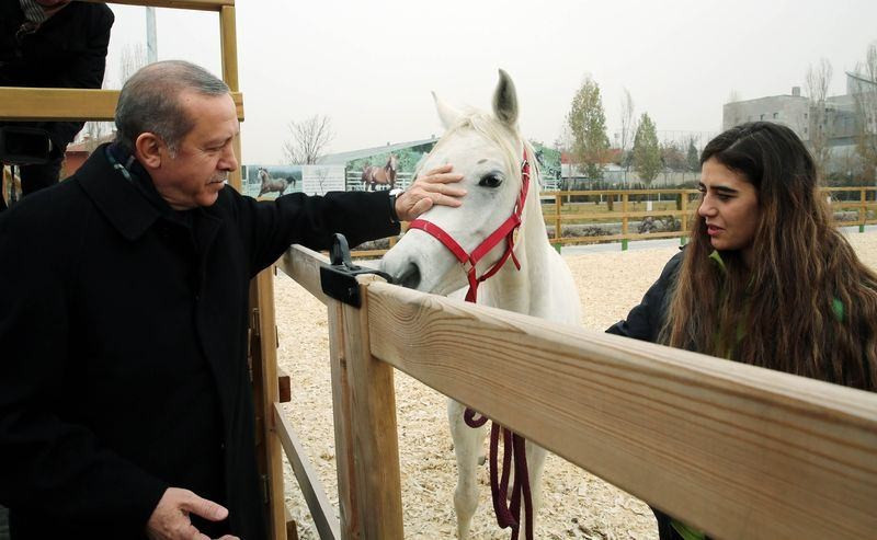 Erdoğan  atlı tedavi merkezini ziyaret etti - Resim: 4