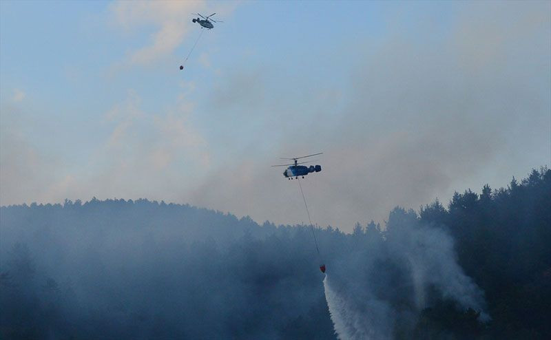 Çanakkale'deki orman yangını 19 saat sonra kontrol altına alındı - Resim: 3