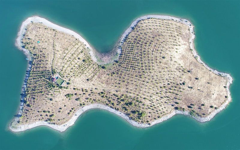 Robinson Ziya Dede belgesel oldu! Keban Baraj gölünün ortasında yaşıyor - Resim: 2